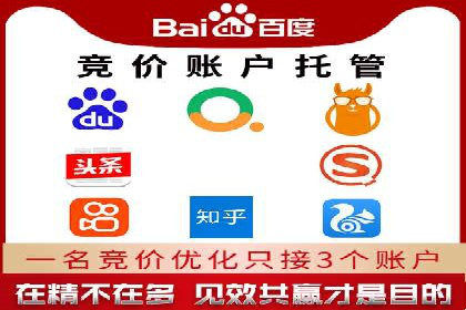 SEM竞价广告的智能优化：成功案例解读