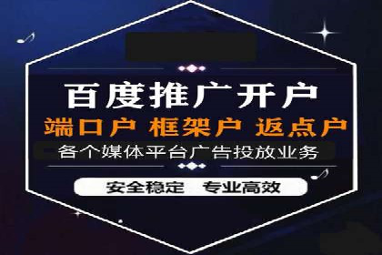 案例分析：SEM推广助力品牌知名度